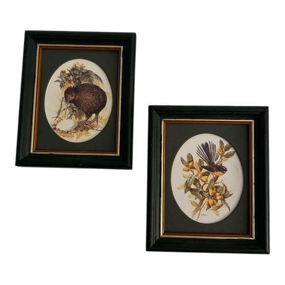 Set of Two Framed Native Birds of New Zealand - Picture 2 of 7